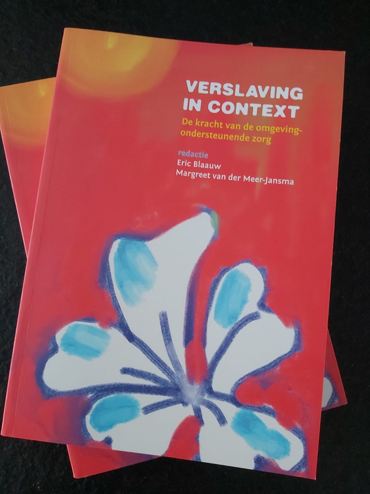 Verslaving in context boeken