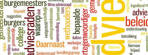 adviesraad plaatje