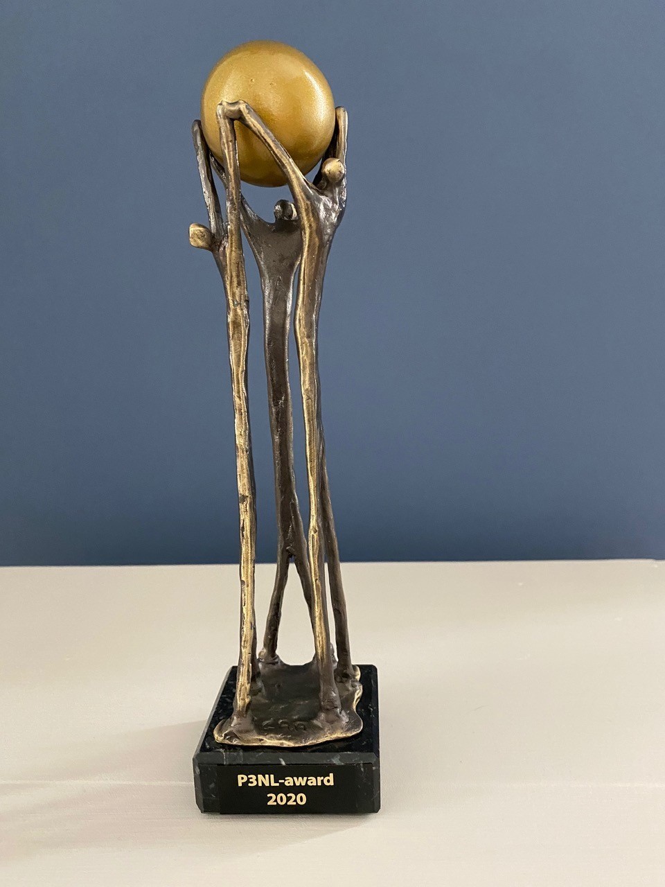 P3NL award